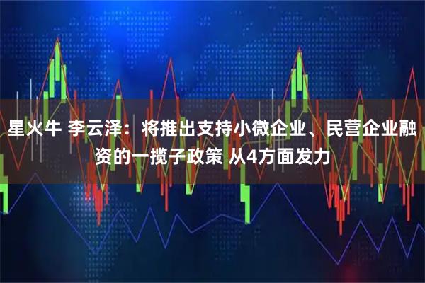 星火牛 李云泽：将推出支持小微企业、民营企业融资的一揽子政策 从4方面发力