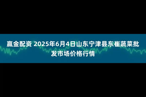 赢金配资 2025年6月4日山东宁津县东崔蔬菜批发市场价格行情