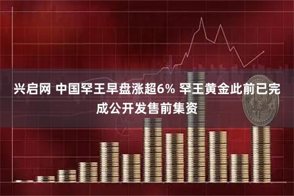 兴启网 中国罕王早盘涨超6% 罕王黄金此前已完成公开发售前集资