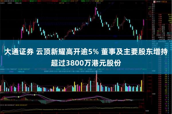 大通证券 云顶新耀高开逾5% 董事及主要股东增持超过3800万港元股份
