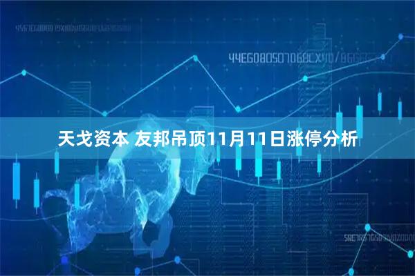 天戈资本 友邦吊顶11月11日涨停分析