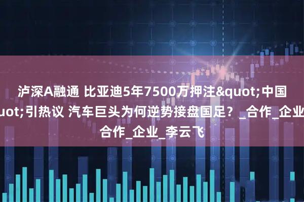 泸深A融通 比亚迪5年7500万押注"中国之队"引热议 汽车巨头为何逆势接盘国足？_合作_企业_李云飞