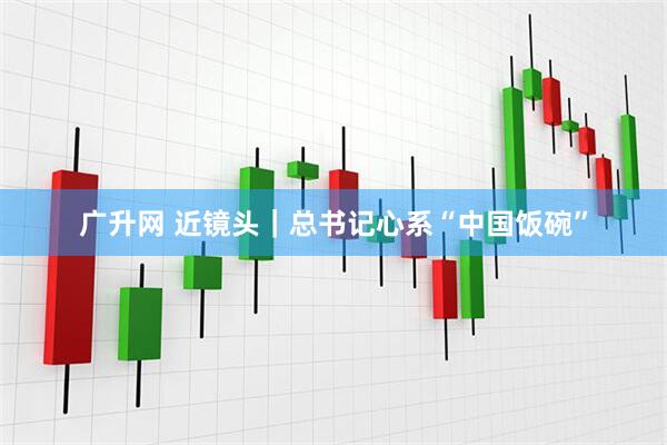 广升网 近镜头｜总书记心系“中国饭碗”